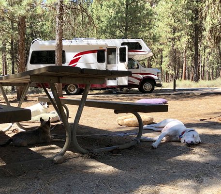 Helende Campground photo 2