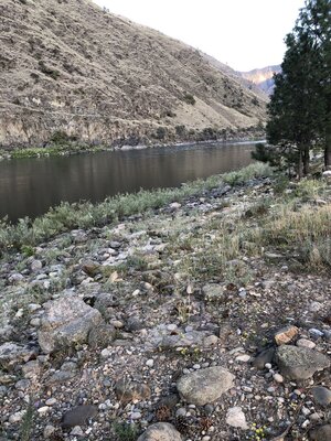 Island Bar Recreation Site photo 2