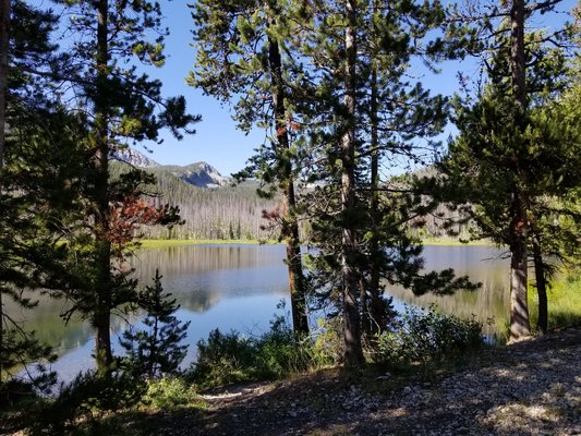 Josephus Lake Campground photo 2