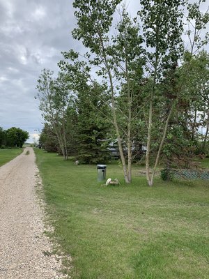 Painted Rock Campground Reviews Updated 2025 Painted Rock Campground