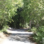 Malad summit campground