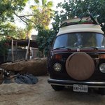 Cabo surf safari
