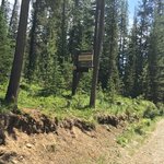 Walla walla forest camp