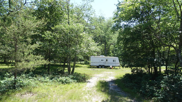 Cooper Creek Road photo 2