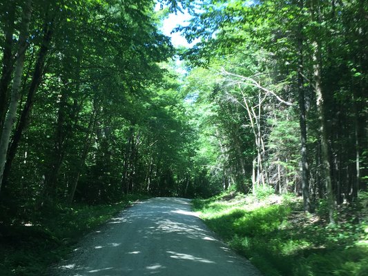 Bear's End Dispersed Camping