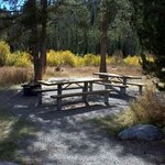 Mormon bend campground