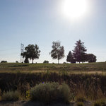 Royal city golf course rv park