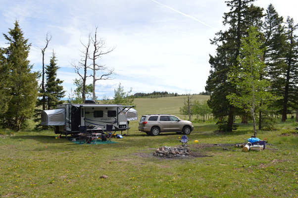 Fourmile Creek Dispersed Camping photo 2