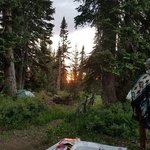 Buffalo pass routt nf