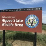 Mike higbee state wildlife area