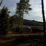 Forest road 181