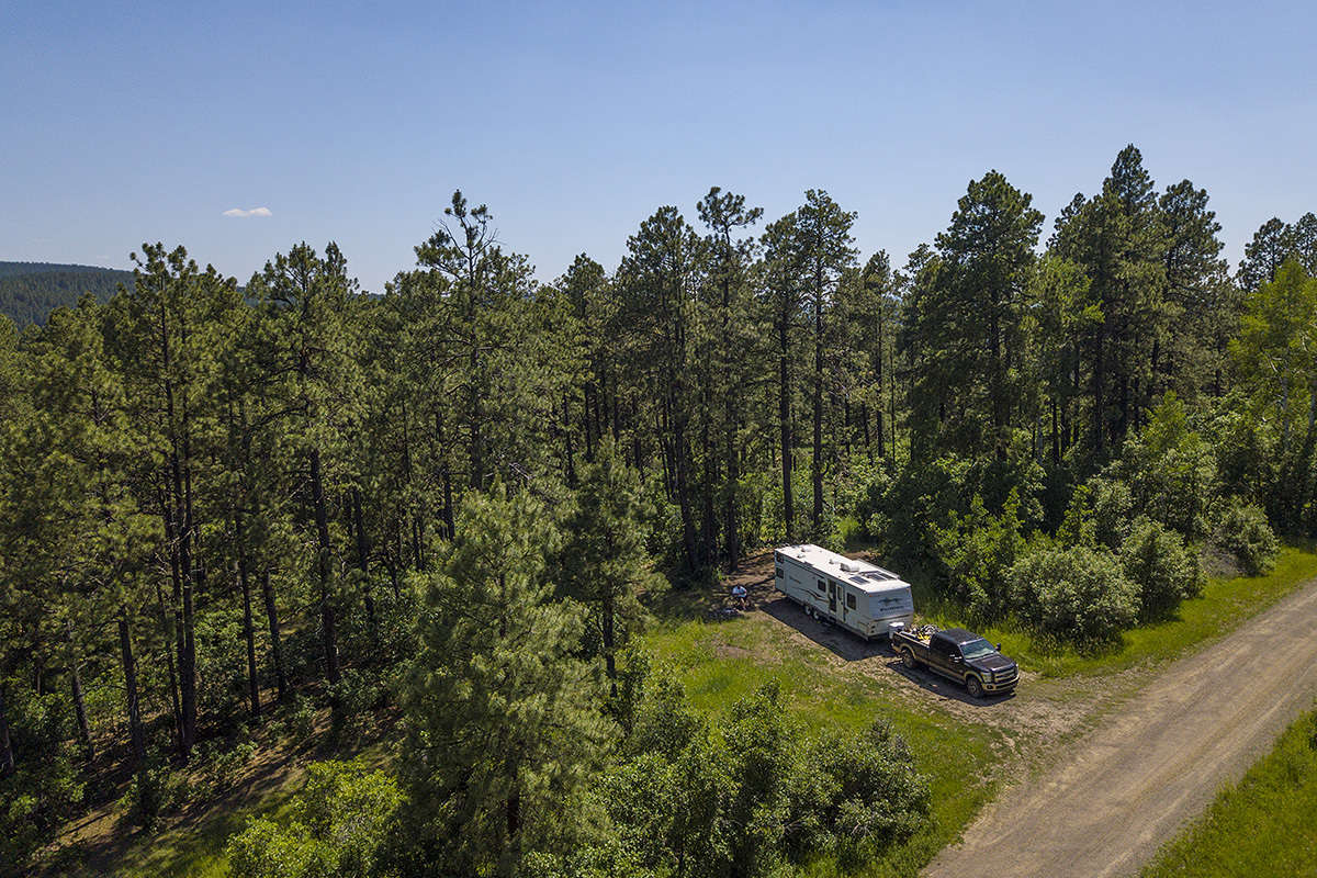 Jackson Mountain Road Dispersed Camping Reviews updated 2024