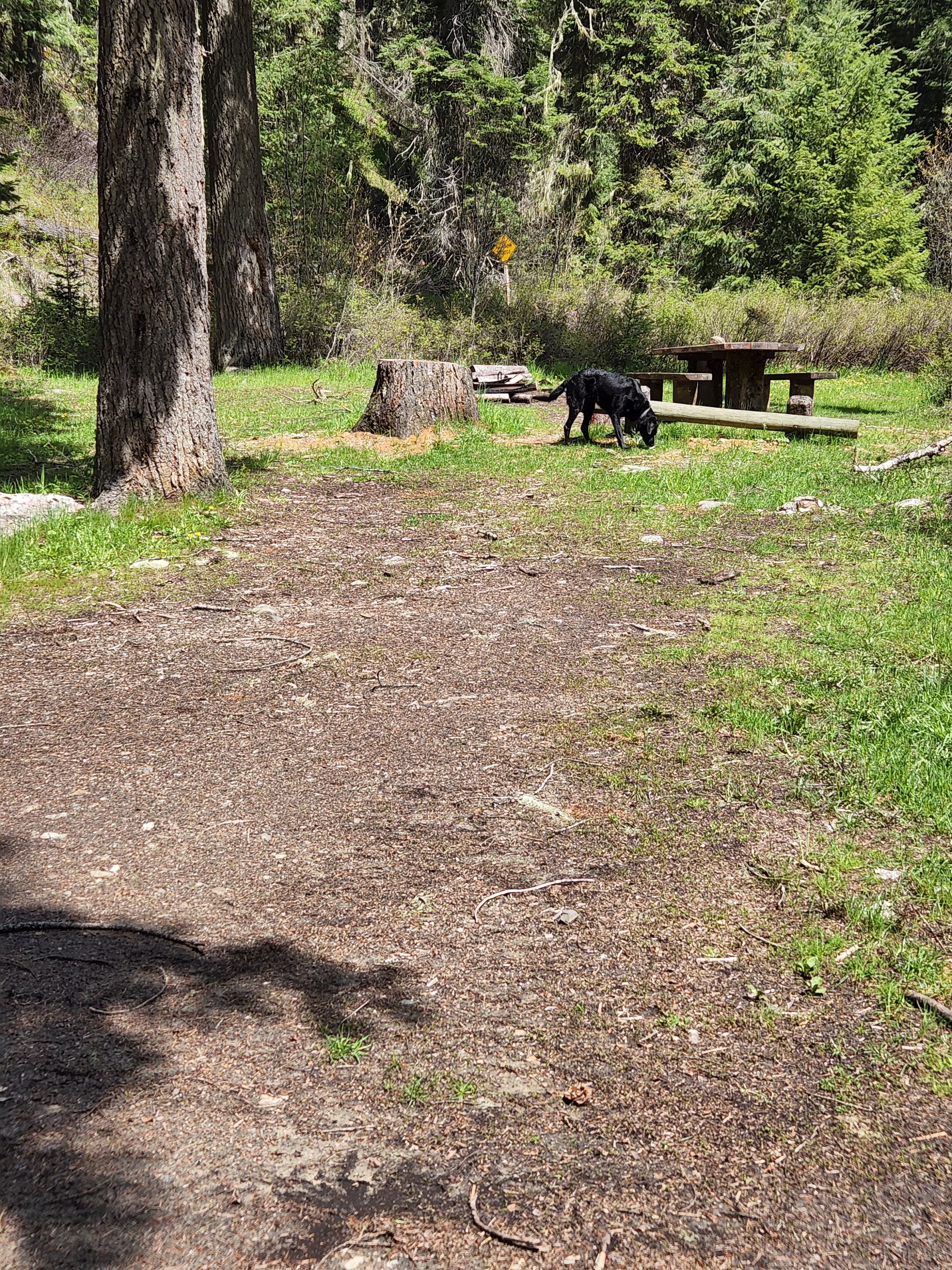 North Fork Slate Creek Campground