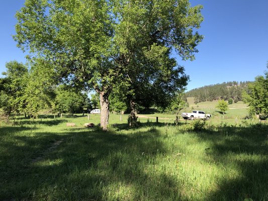 Rogers Camping Area photo 2