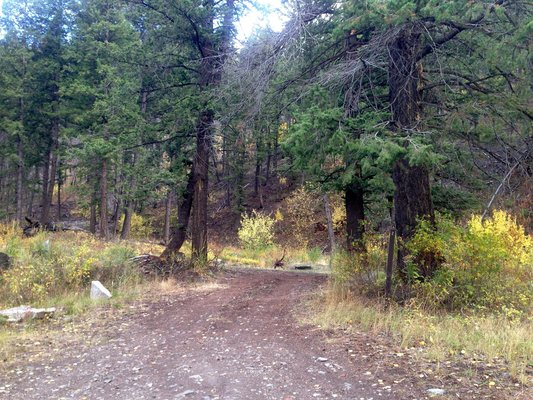 Warm Springs Canyon Designated Dispersed Camping