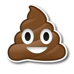Albany county sewer district