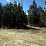 Forest road 210