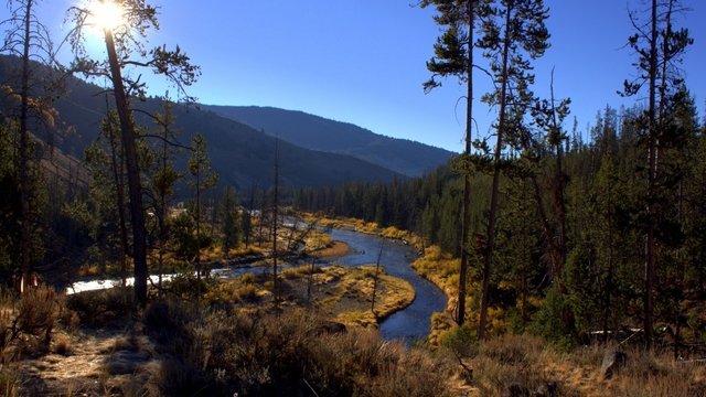 Salmon River Designated Dispersed Campsite #3 photo 2