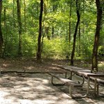 Grandview sandbar campground
