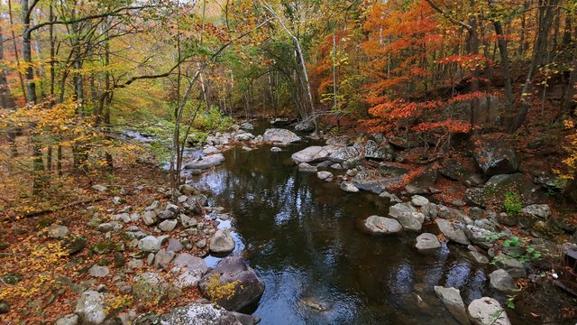 Best Free Camping In West Virginia Campendium Best Free Camping In West Virginia Campendium