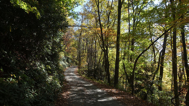 Victor Road Dispersed Camping photo 2