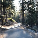 Luther pass camping area