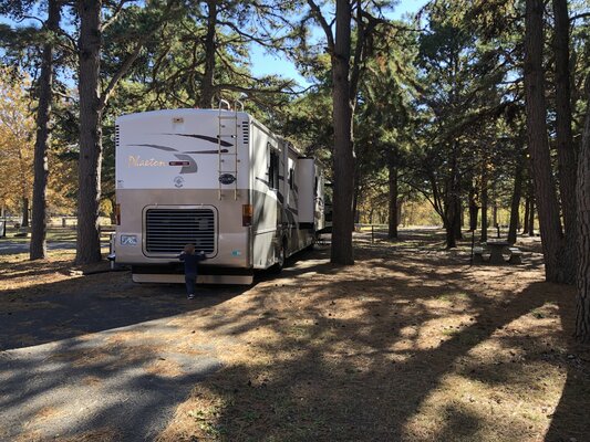 Dogwood Drive Campground photo 2