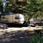 Peninsula campground ponderosa sp