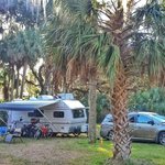 Hickory hammock campground