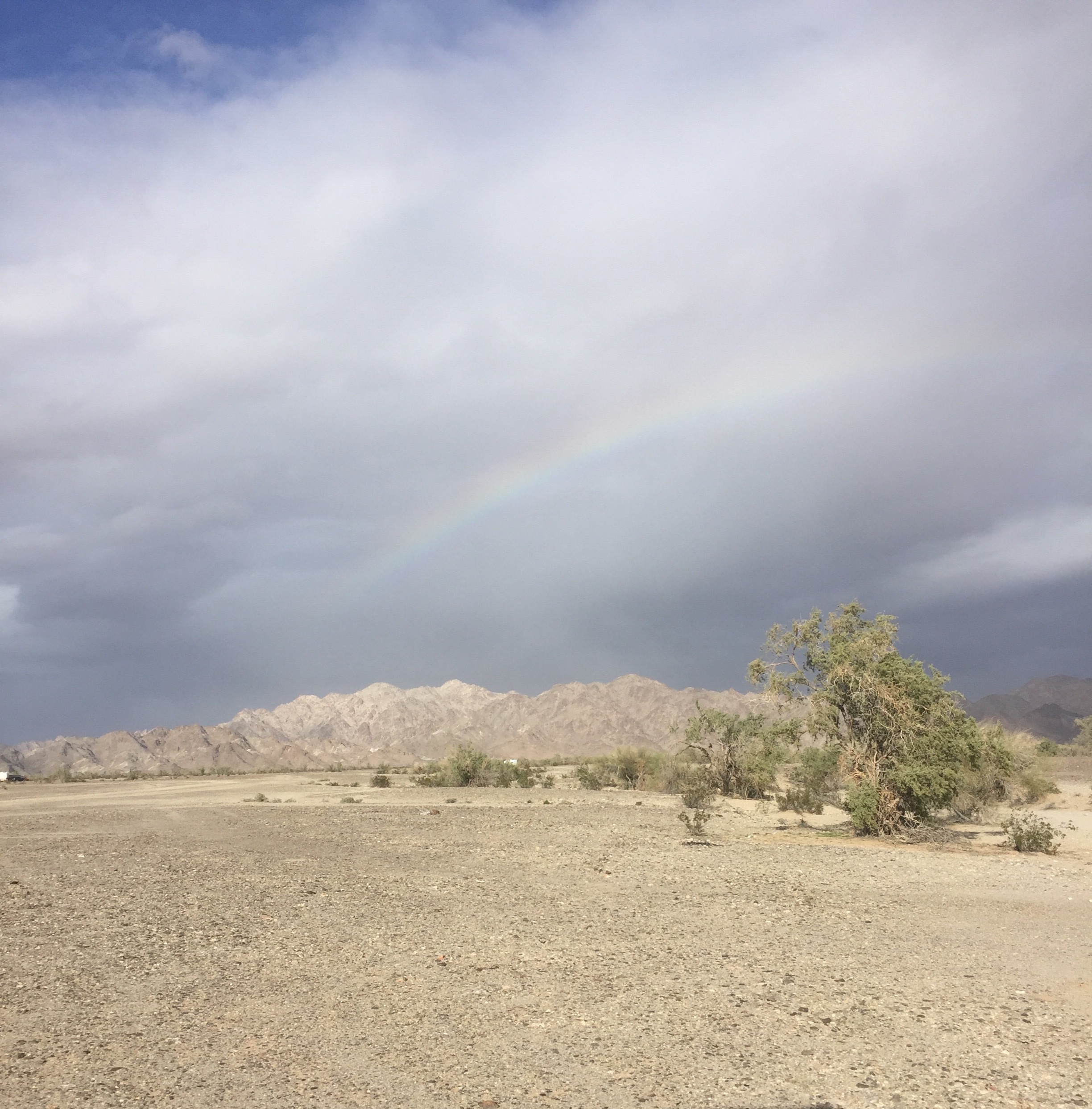 Off Ogilby Road Dispersed Camping