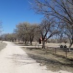 Buffalo lake national wildlife refuge