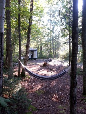 Old Cherry Mountain Road Camping photo 2