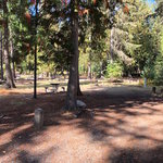 Indian creek unit priest lake state park