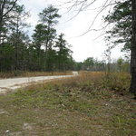 Tuskegee primitive camp 10