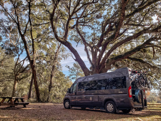 Santee Coastal Reserve Wildlife Management Area