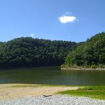 Cane hollow