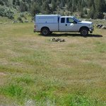 Burnt ranch beach recreation site