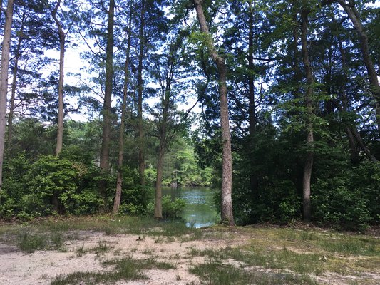 North Shore Campground photo 2