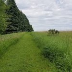 Upper campground lac qui parle state park