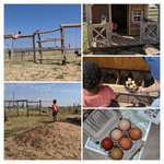 Hitching post rv park cabins