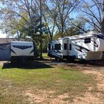 Nutty acres micro rv park