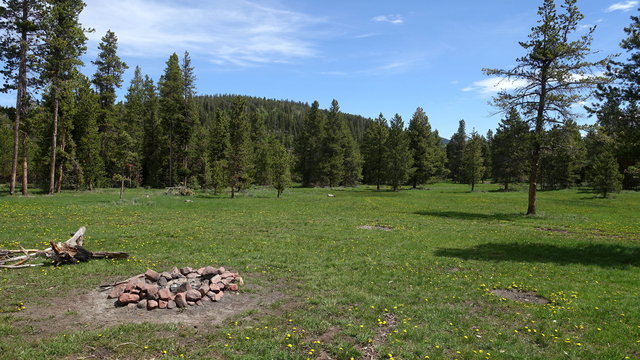 Greens Draw Dispersed Camping photo 2