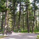 Scout mountain campground