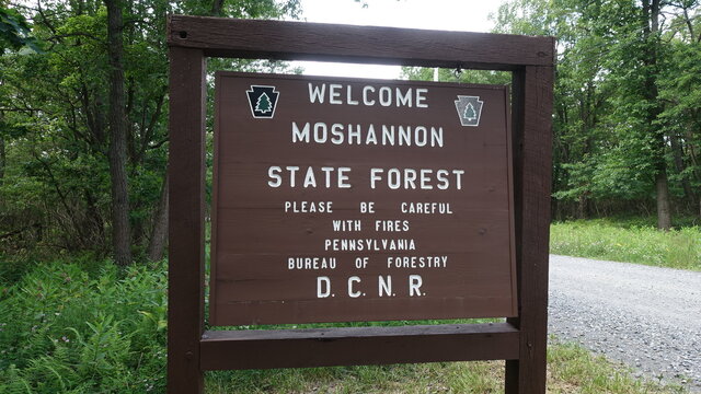 Medix Grade Road Designated Dispersed Campsite 8 photo 2