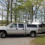 Yellow butterfly campground