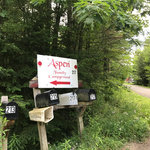 Aspen family campground