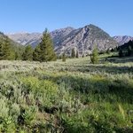 North fork big wood river