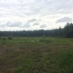 Duck pond campsite