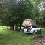 Duck pond campsite