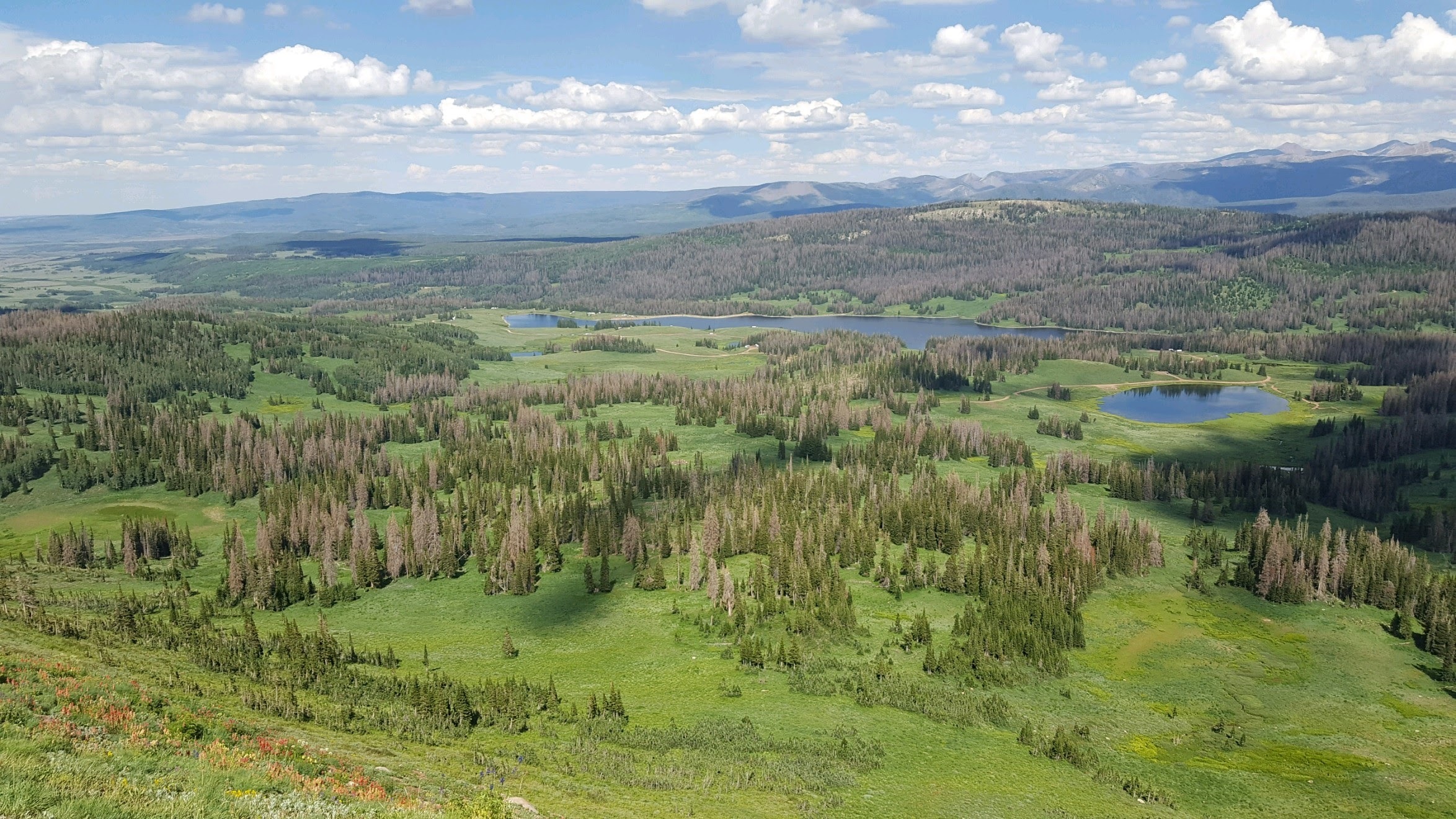 Whitney Reservoir Camping | Oakley, UT Whitney Reservoir Camping | Oakley, UT